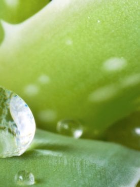 Repair Post Winter Skin For A Sunny Start To Spring Article