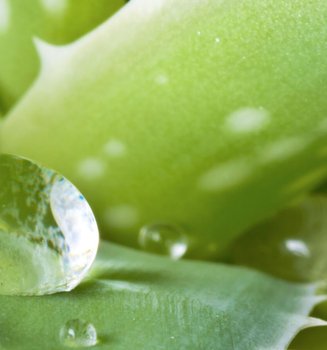 Repair Post Winter Skin For A Sunny Start To Spring Article