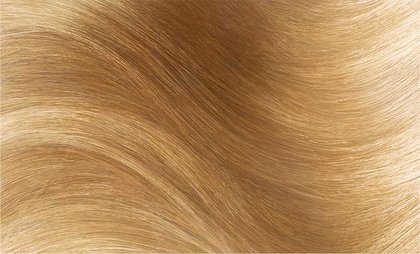 Haircolor 83 Light Golden Blonde Excellence Creme Hair Swatch