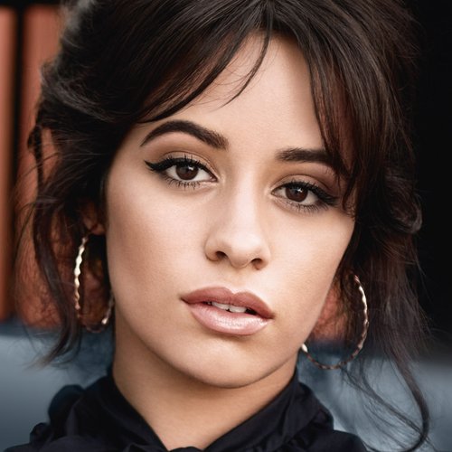 Camila Cabello Brow Artist High Contour Hero
