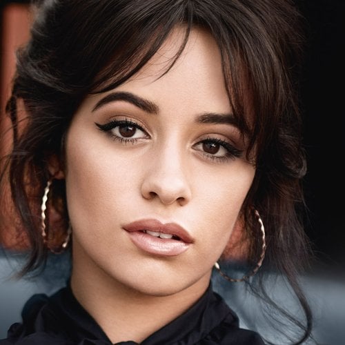 Camila Cabello Brow Artist High Contour Hero