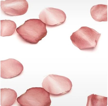 Rose Petals